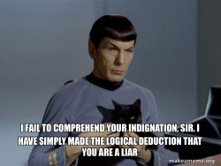 Spock and Cat Meme