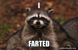Evil Plotting Raccoon