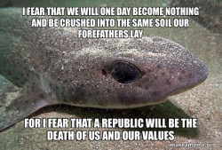 Dirty Joke Dogfish
