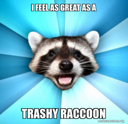 Lame Pun Coon