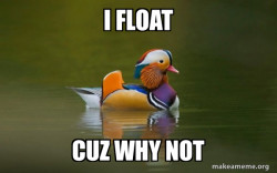 Fashionable Advice Mallard