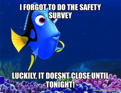 Dory from Nemo  (5 second memory)