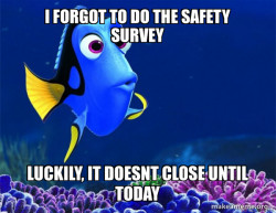 Dory from Nemo  (5 second memory)