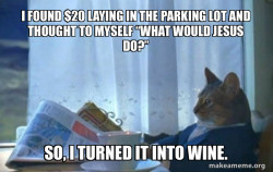 Sophisticated Cat