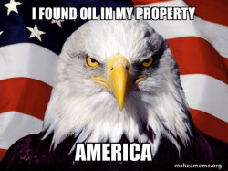 American Pride Eagle