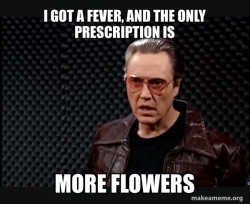 SNL - More Cowbell