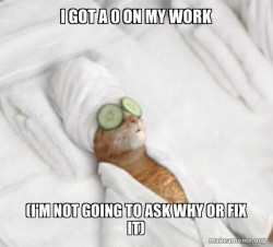Pampered Cat Meme
