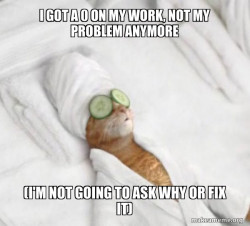 Pampered Cat Meme