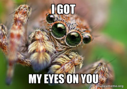 Hipster Spider