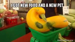 Gourd Advice Mallard