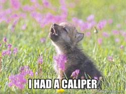 Baby Insanity Wolf