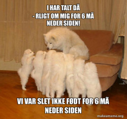 Storytelling Dog