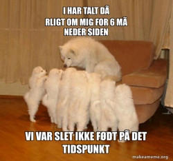 Storytelling Dog