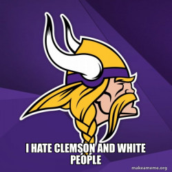 Minnesota Vikings