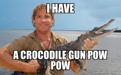 Steve irwin