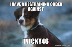 Unsure Dog