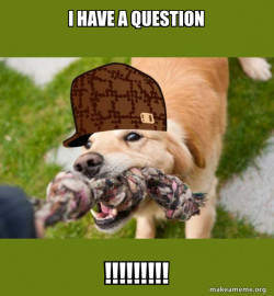 Scumbag dog