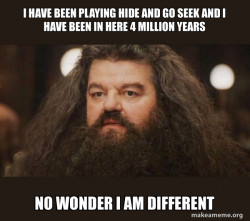 Hagrid - I should not have said that