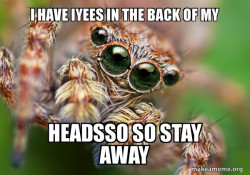 Hipster Spider