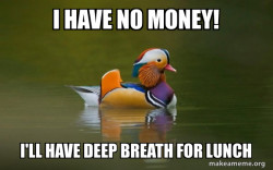 Fashionable Advice Mallard