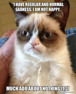 Grumpy Cat