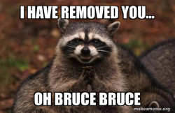 Evil Plotting Raccoon