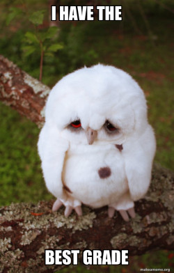 Sad Owl