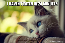 First World Cat Problems
