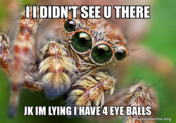 Hipster Spider