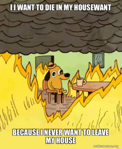 This Is Fine He's gonna die