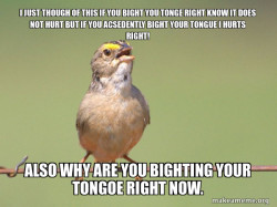 Common Opinion Sparrow