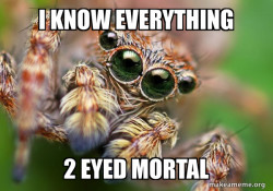 Hipster Spider