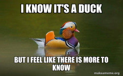 Fashionable Advice Mallard