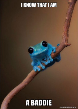 Small Fact Frog