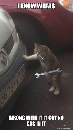 Mechanic Cat