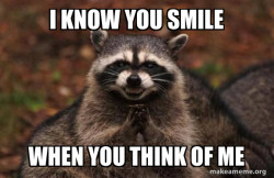 Evil Plotting Raccoon