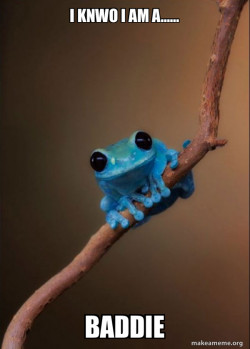 Small Fact Frog