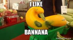 Gourd Advice Mallard