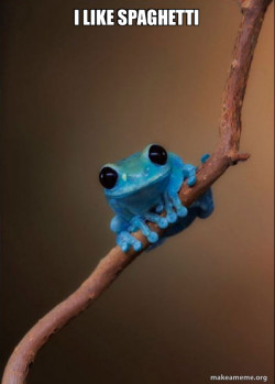 Small Fact Frog