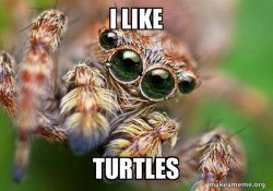 Hipster Spider