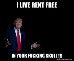Trump Everything is FIne