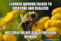 Good Guy Bee