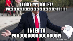 Trump - Impeachment Quid Pro Quo