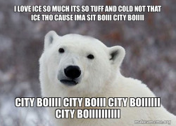 Popular Opinion Polar Bear