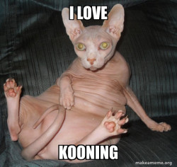 Hairless Cat