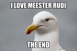 Stuff That Didn't Happen Seagull