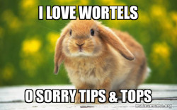 Regretful Rabbit
