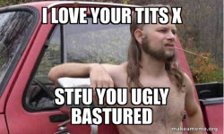 Almost Politically Correct Redneck