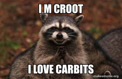 Evil Plotting Raccoon
