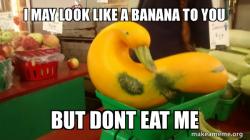 Gourd Advice Mallard